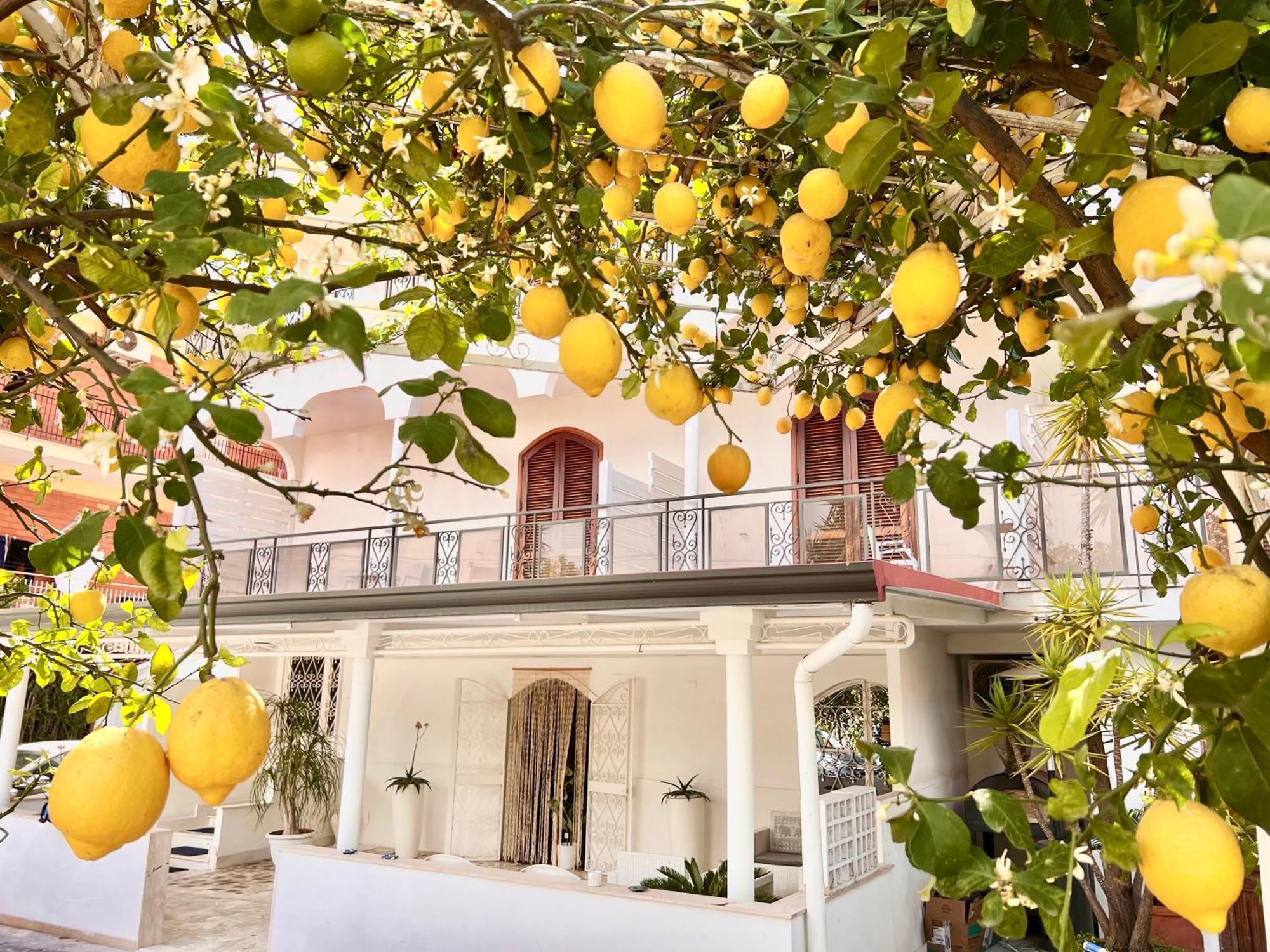 Villa Miriam Gragnano Eksteriør bilde